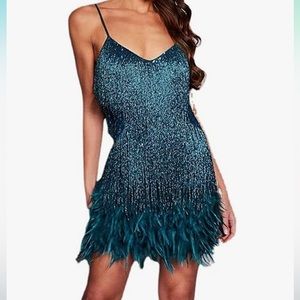 Sparkle fringe dress with feathers! Perfect for Taylor swift concert!!